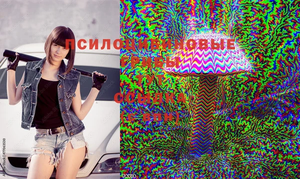 героин Алзамай