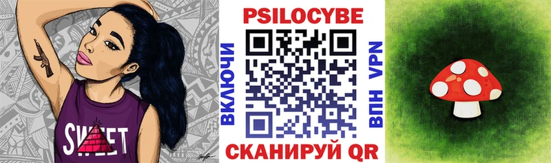 закладки  OMG как зайти  Псилоцибиновые грибы MAGIC MUSHROOMS  Протвино 